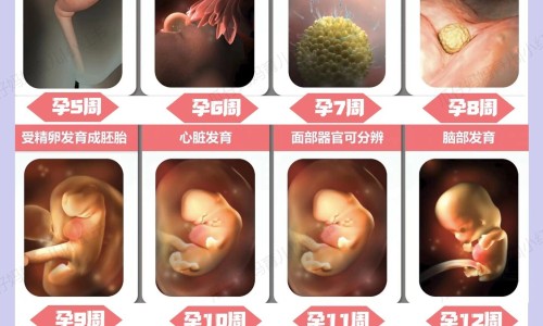 山楂白菊花泡茶的功效与禁忌-白菊花和山楂能一起泡茶喝吗,中国山楂白菊花泡茶的功效网站